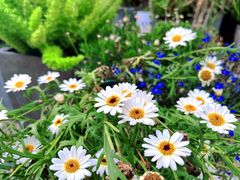 -爱舍海岸酒店(香港中路五四广场店)