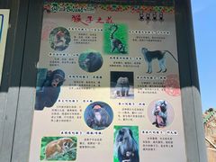 -石家庄市动物园