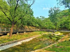 -白水寺森林公园