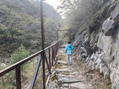 -青峰峡国家森林公园