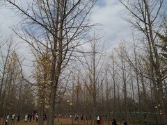 -汉景帝阳陵博物院