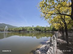 -北宫国家森林公园
