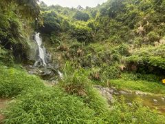 -梧桐山风景名胜区