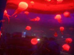 -多彩贵州城极地海洋世界