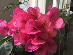 -禾珍珠家常小馆(河南博物院店)