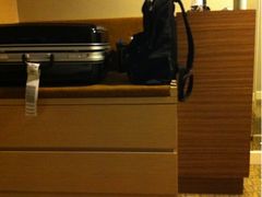 -新加坡乌节希尔顿酒店 (SG Clean)