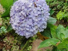 -维乐口腔医院(福清院)