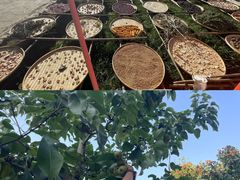 -吉姆冒险世界(蓟州店)