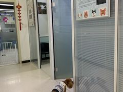 -全心全意连锁动物医院(加州店)