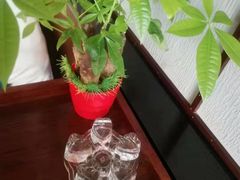 -新盈光·旗舰店(海曙苍松路店)