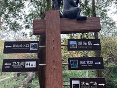 -南京老山国家森林公园