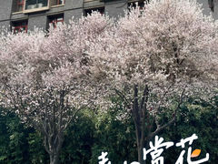 -四川大学(江安校区)
