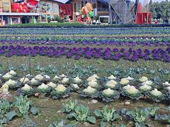 -中国天府农业博览园