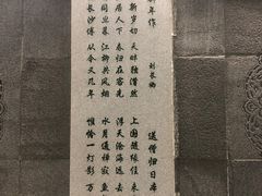 -唐城墙遗址公园