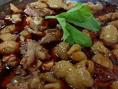 -肥肠鸡冷锅串串(广元利州广场店)