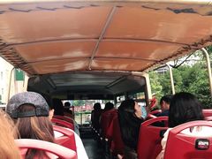 -BUS TOUR观光巴士