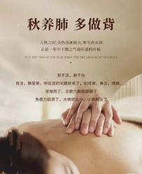 -香薇妮丝女子减肥院