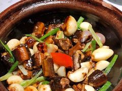 -大榕树下顺德菜(融创茂店)