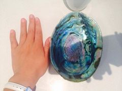 -同乐酒楼(皇后镇店)