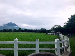-瑞穗牧场