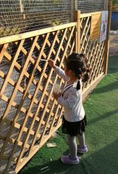 -萌宠亲子动物乐园(槐房万达店)