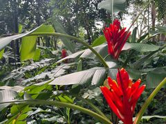-中国科学院西双版纳热带植物园