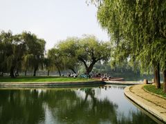 -莱西月湖公园