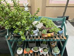 -后海16号·北京私房菜