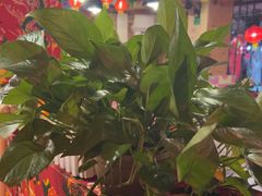 -粗粮人家·东北菜(洋桥店)