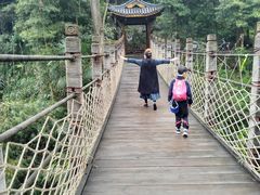 -凤栖山