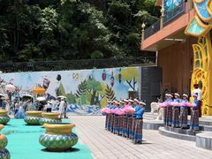 -西双版纳原始森林公园