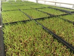 -大润发(王庄店)