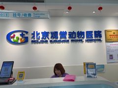 -北京观赏动物医院·24小时大型综合·猫专科·异宠专科