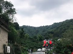 -龙井村