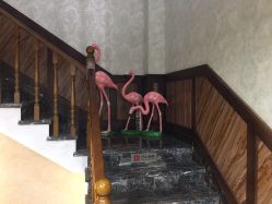 -YESIDO椰岛造型烫发染发