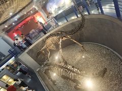 -国家自然博物馆