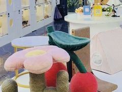 -小猫来了·猫舍(红山六九七九店)