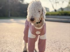 -洋洋中餐馆·SINCE 1997(信投店)