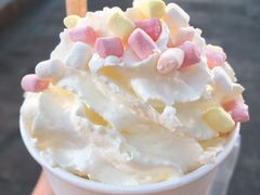 -伏小桃(明瓦廊店)