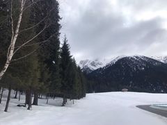 -江布拉克景区怪坡停车场