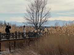 -野鸭湖国家湿地公园