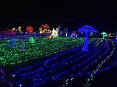 -亚龙湾国际玫瑰谷