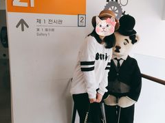 -济州岛泰迪熊博物馆