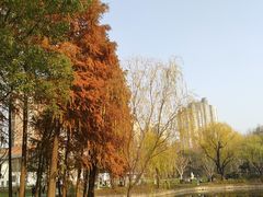 -和平公园