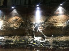 -二连浩特国家地质公园