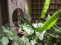 -邈墨茶馆(凤起路店)