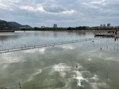 -顺峰山公园