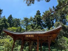 -莫干山风景区