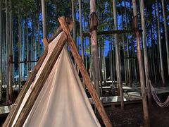 -桉树林A coffee 森林餐厅(三圣乡店)