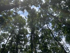 -云南野生动物园